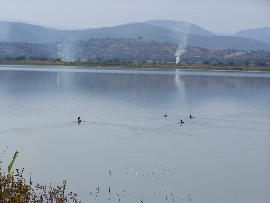 Laguna de El Rodeo en Miacatlán