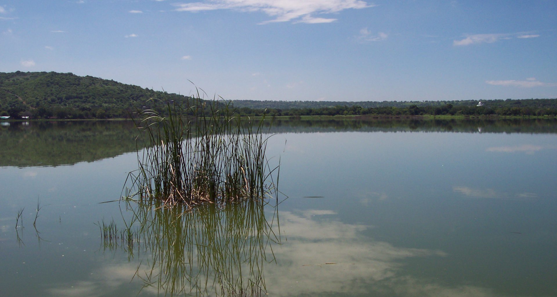 Laguna de Coatetelco